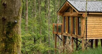 Spacious lodge with modern styling features.