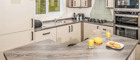 Fridge, oven, stovetop, toaster