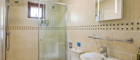 A bathroom with a glass-enclosed shower, a white toilet, and a sink with a mirror above it.