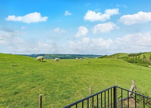 Luokittelematon kuva, 5 kautta 11, painike