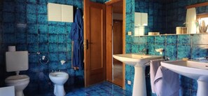 Combined shower/tub, hair dryer, bidet, towels