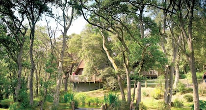 One double and one twin.