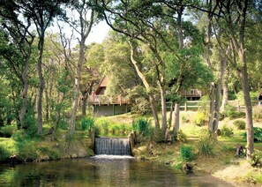 Een huis met een houten terras en een kleine waterval.