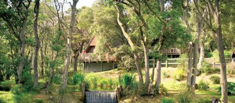 One double and one twin.