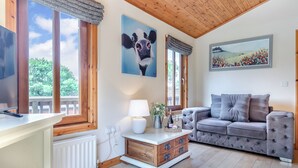 TV - Luxury and contemporary styled lodge. (Glossop)