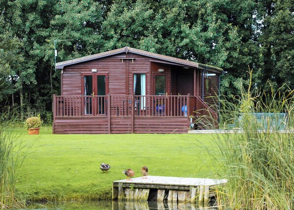 Unclassified image, 1 of 7, button