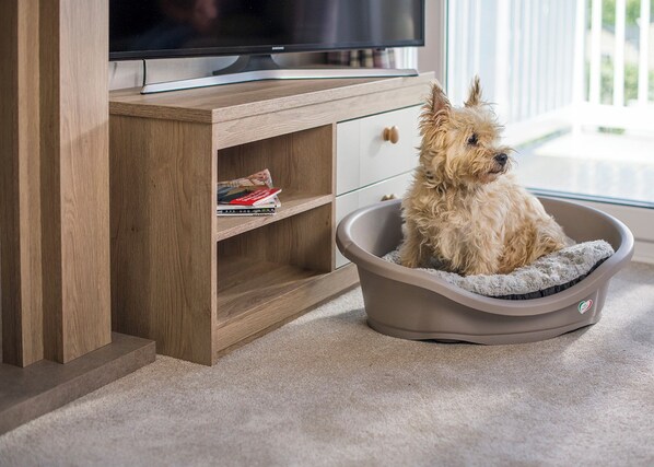 Uklassifisert bilde, 1 av 13, knapp