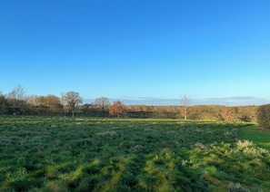 A grassy field with a stone wall and trees in the background. - 2 bedroom accommodation in Palgrave, Diss (Palgrave, Diss)