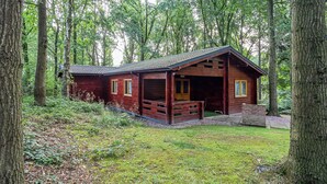 Un chalet rustique doté d’un porche, entouré de grands arbres et d’une zone herbeuse.