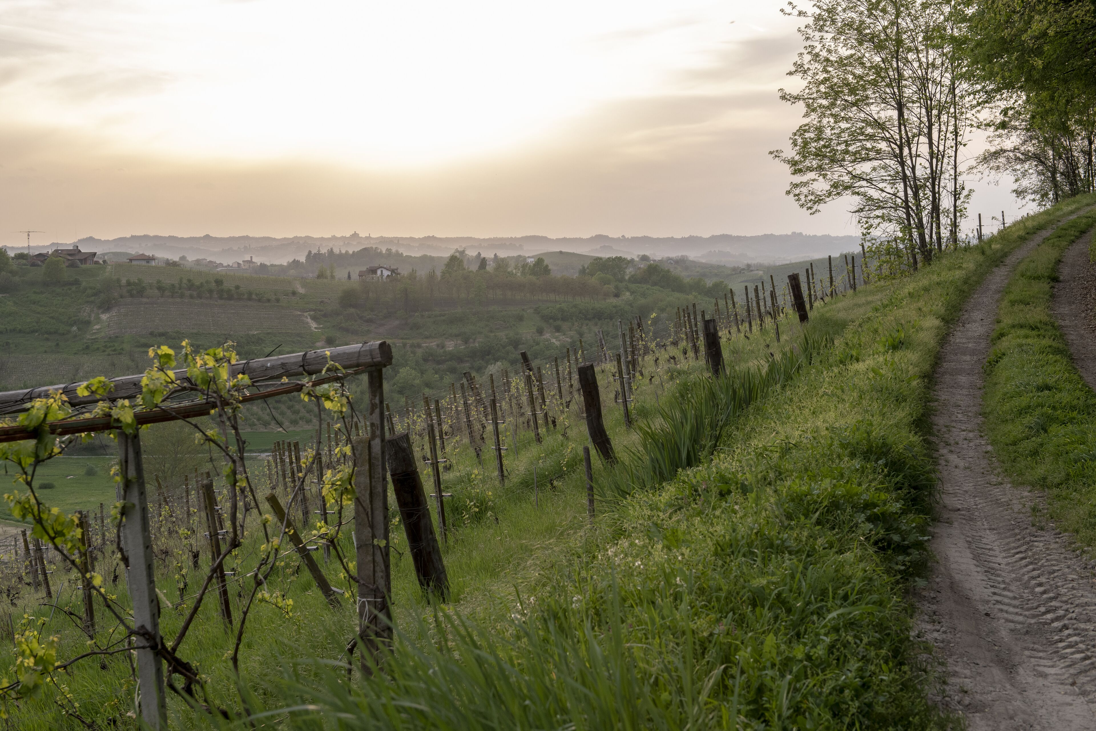 Foto - Sunstar Hotel Piemont Castello di Villa