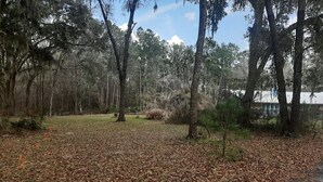 Ein Park mit einem gepflasterten Weg, umgeben von Bäumen und bedeckt mit herabgefallenen Blättern.