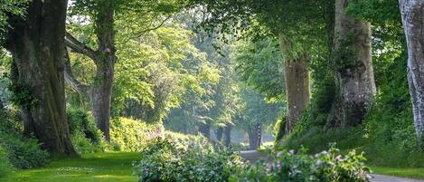 Áreas de la propiedad