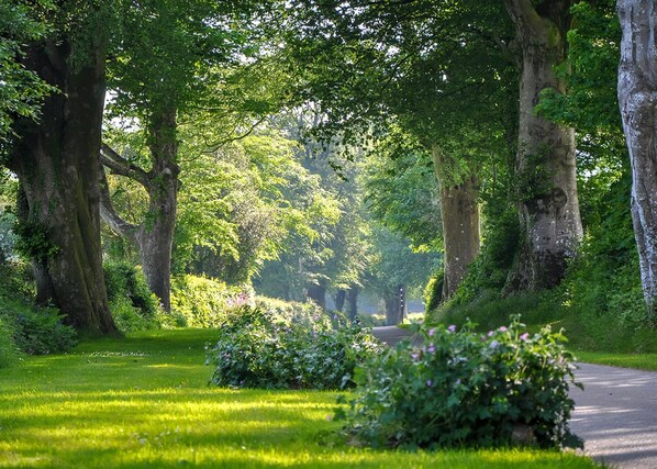 Overnatningsstedets område