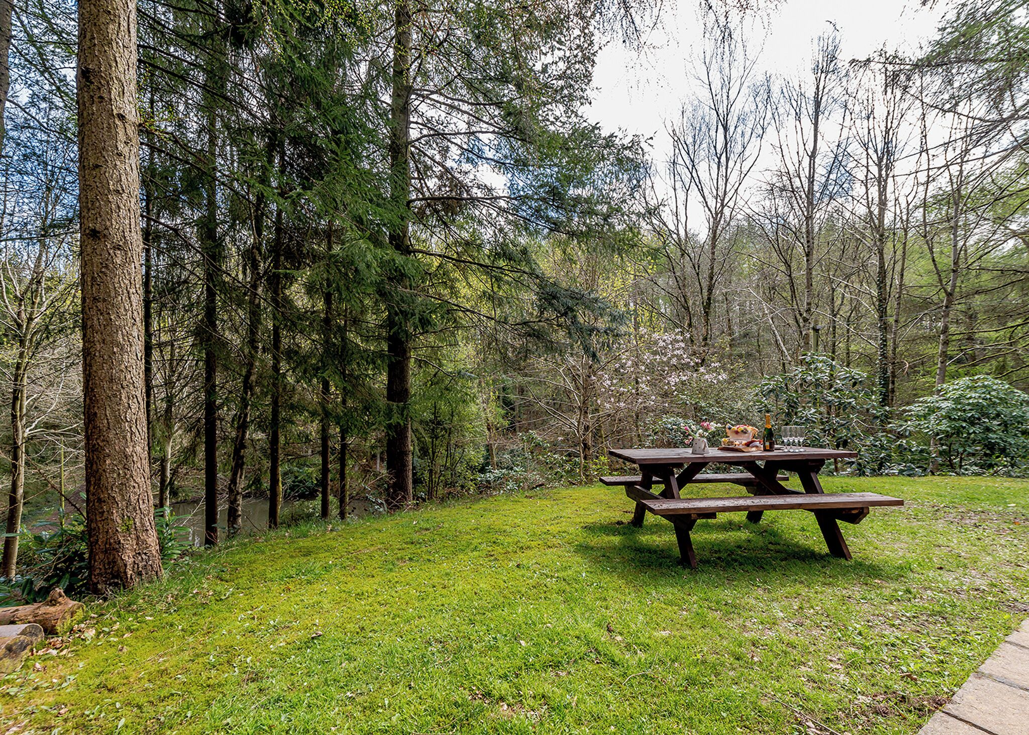 A picnic table in a forested area with grass and trees.