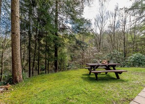 A picnic table in a forested area with grass and trees. - Timber lodge set in an elevated position with views of the lake. (Webbery, Bideford)