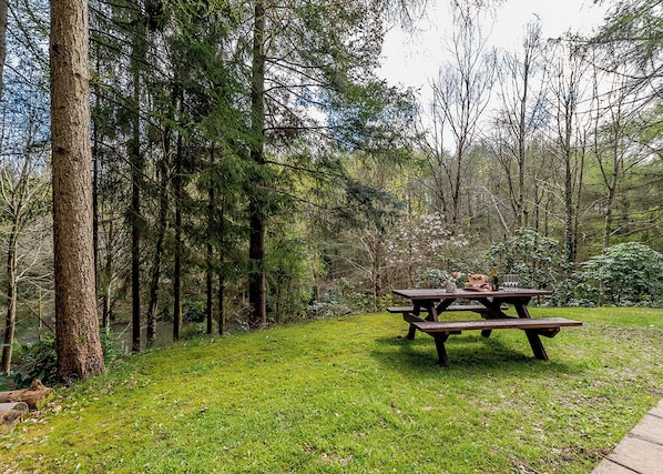 Une table de pique-nique située dans une zone boisée, avec de l’herbe et des arbres.