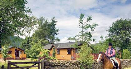 3 Schlafzimmer Unterkunft in Ettrick Valley, Nr Hawick