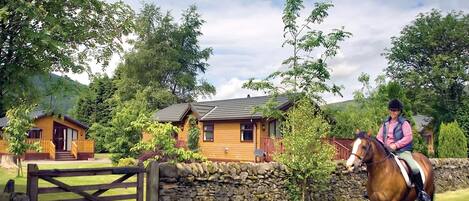 Terrein van de accommodatie