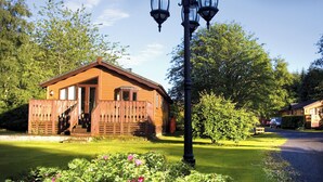 A wooden cabin with a porch, a black street lamp, and a well-maintained lawn. - Log cabin with one double with en suite shower and two twin. (Ettrick Valley, Nr Hawick)