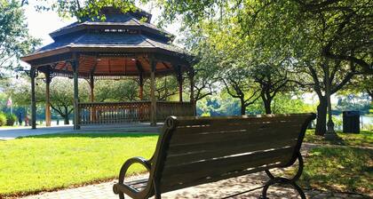 Cozy apartment near all