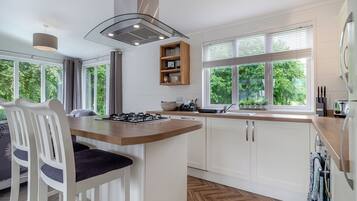 Fridge, oven, stovetop, dishwasher