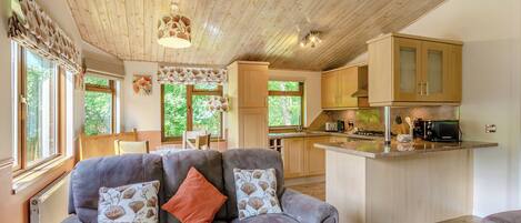 Flat-screen TV, fireplace