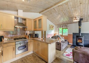 A modern kitchen with wooden cabinets, a gas stove, a built-in oven, and a black wood-burning stove.