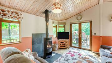 A cozy living room with a fireplace, a television, and a large window.