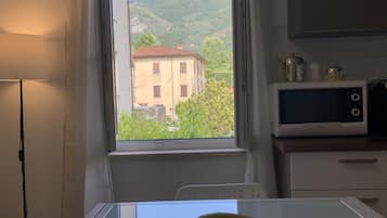 Apartment | Eigene Küche | Kühlschrank, Mikrowelle, Ofen, Herdplatte