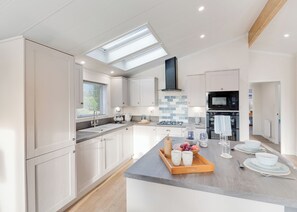 Fridge, oven, stovetop, toaster