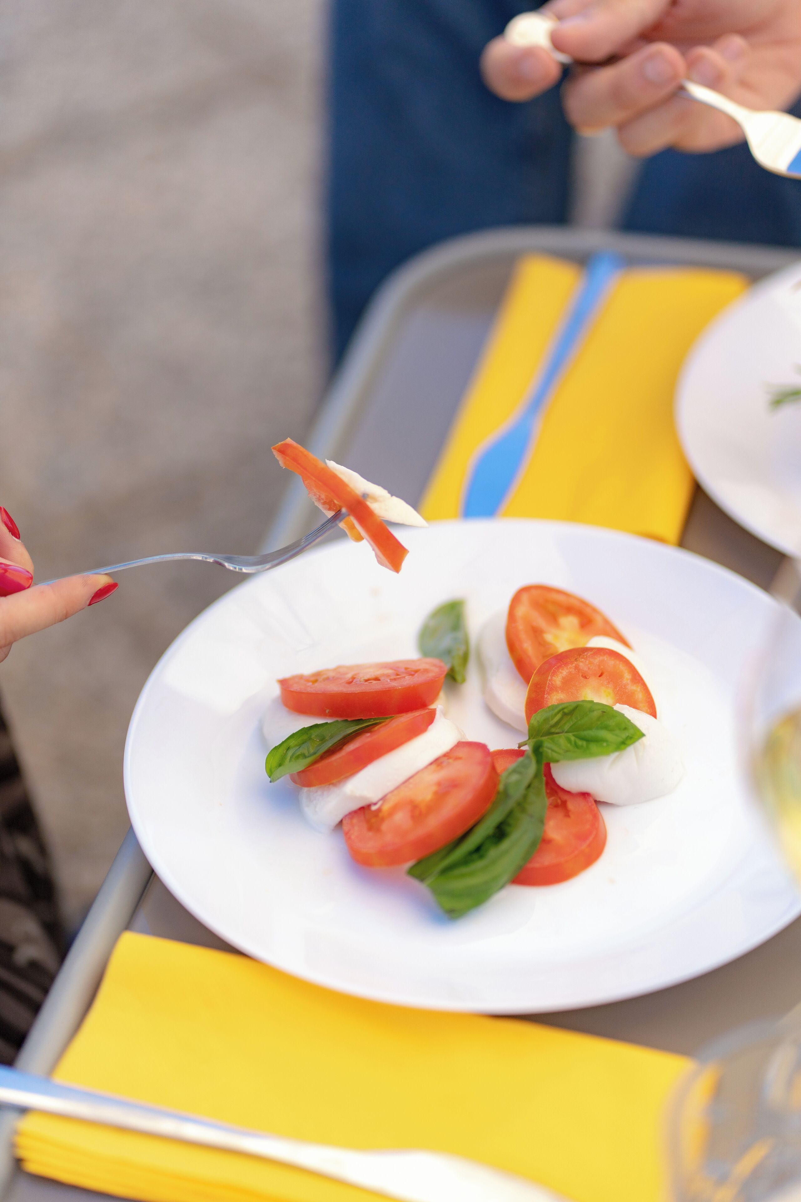 En hvid tallerken med tomatskiver, mozzarella og basilikum på en metalbakke.