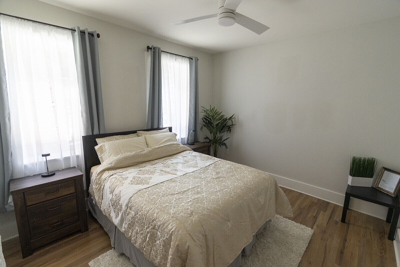 Une chambre à coucher avec un lit, une table de chevet, une plante et un ventilateur de plafond.