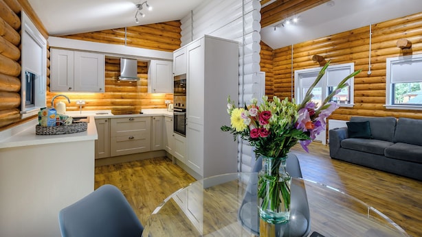 Intérieur moderne d’une cabane en rondins comprenant une cuisine, un coin repas et un salon.