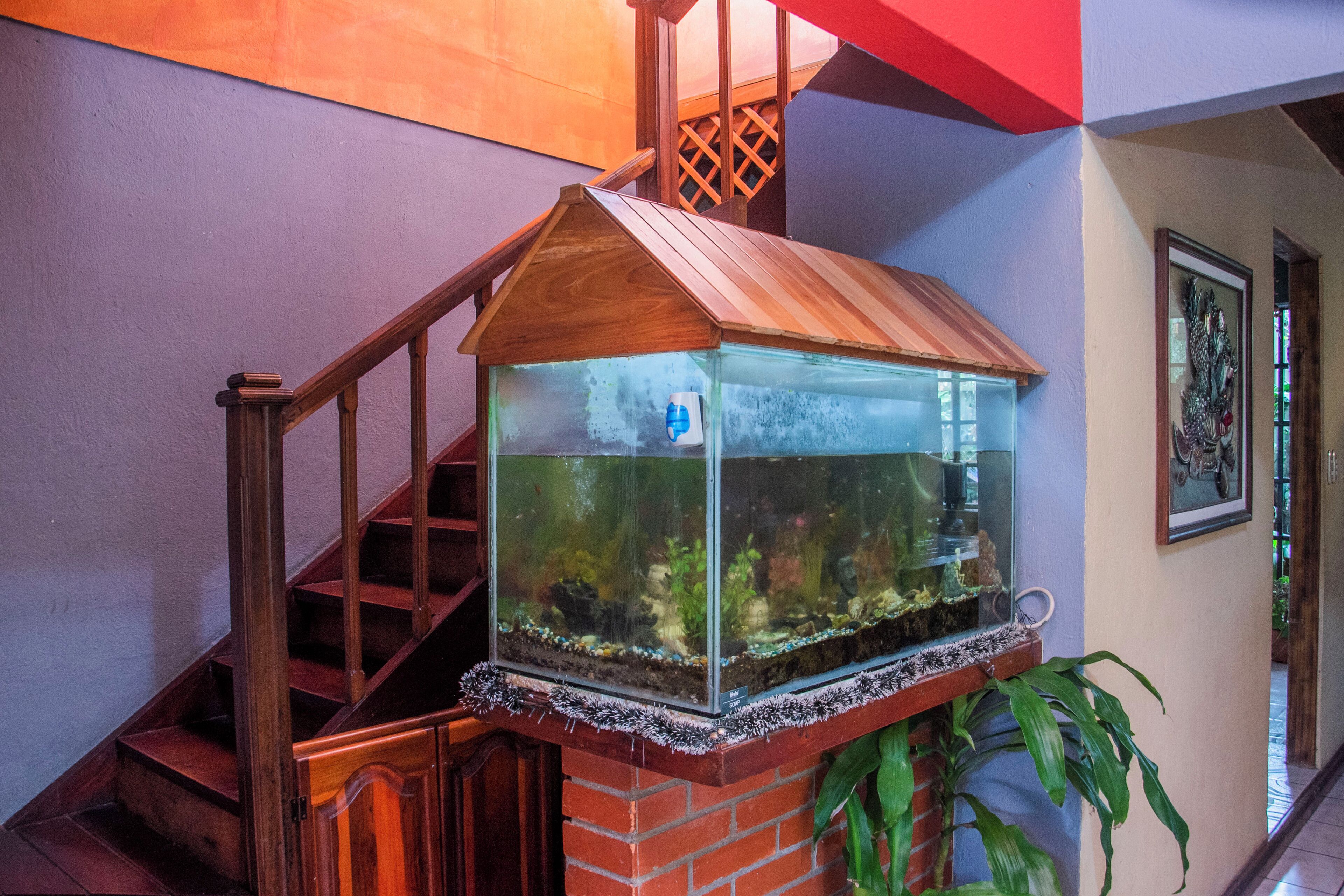 Foto - Gardens House, Airport Juan Santamaría, Alajuela, San José