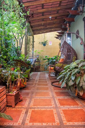 Un pasillo estrecho, con baldosas, plantas colgantes y una silla de mimbre.