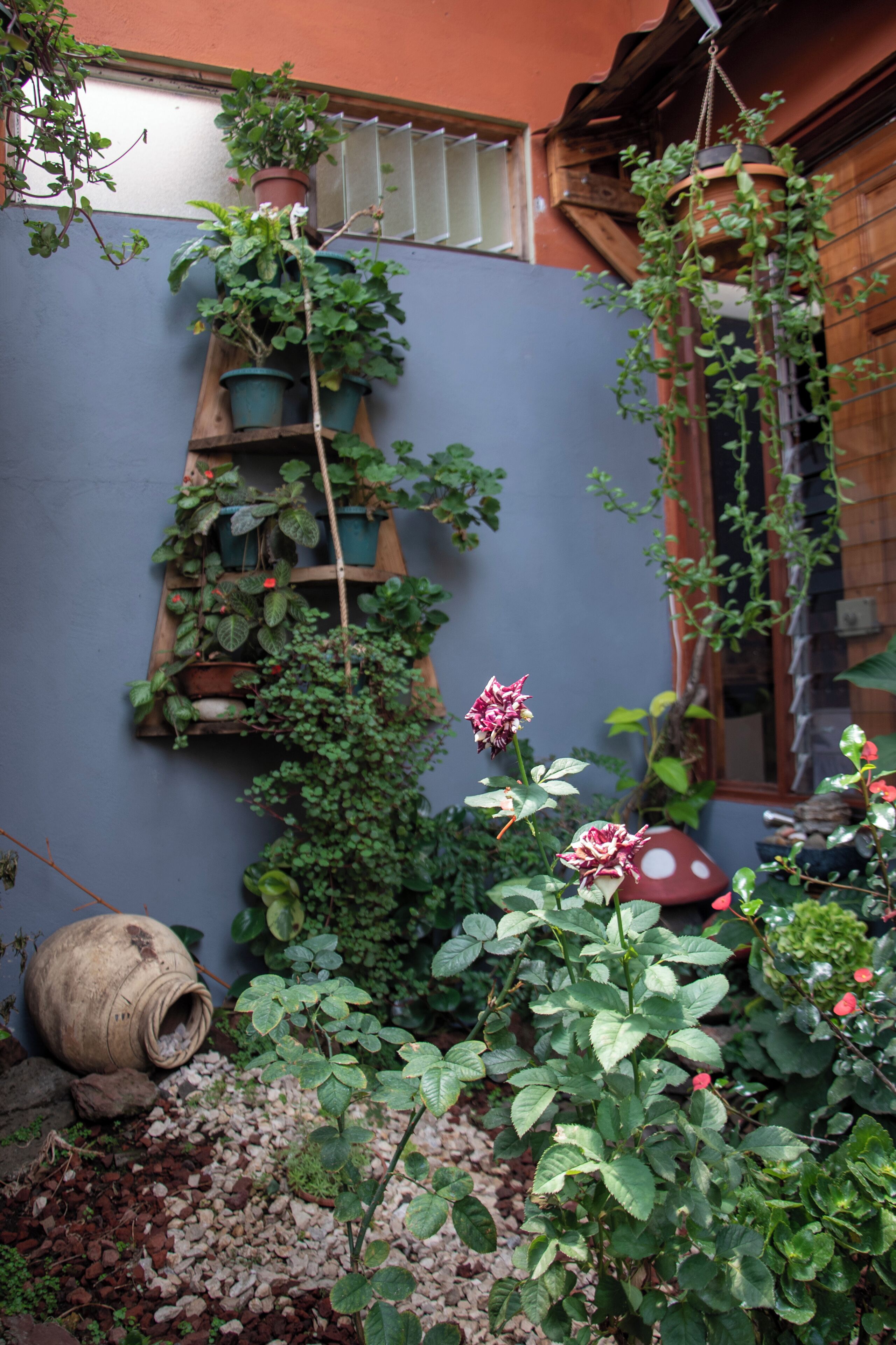 A garden with potted plants, a wooden ladder, and a mushroom-shaped planter.