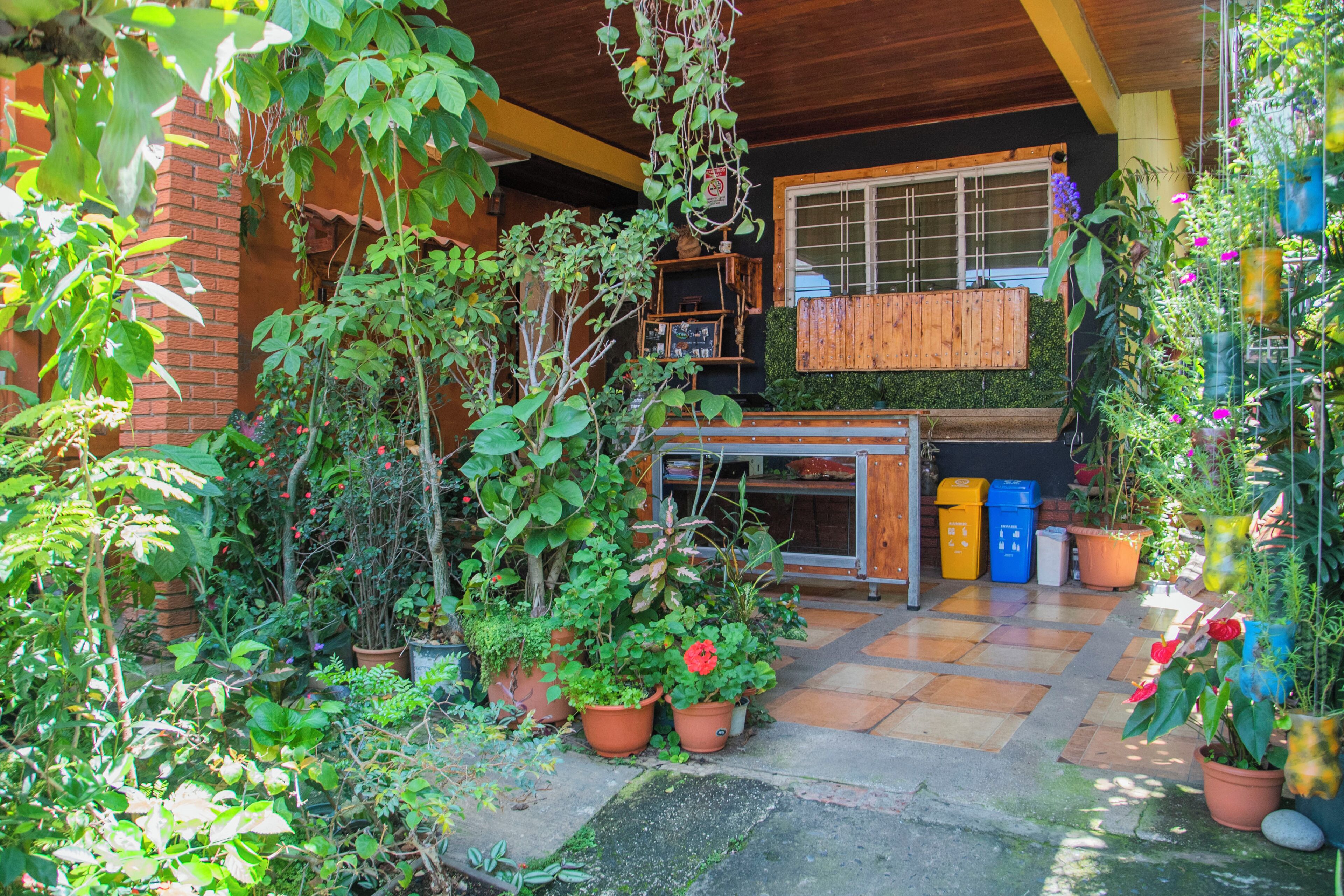 Un jardín con plantas en macetas, un banco de madera y un muro de ladrillo.