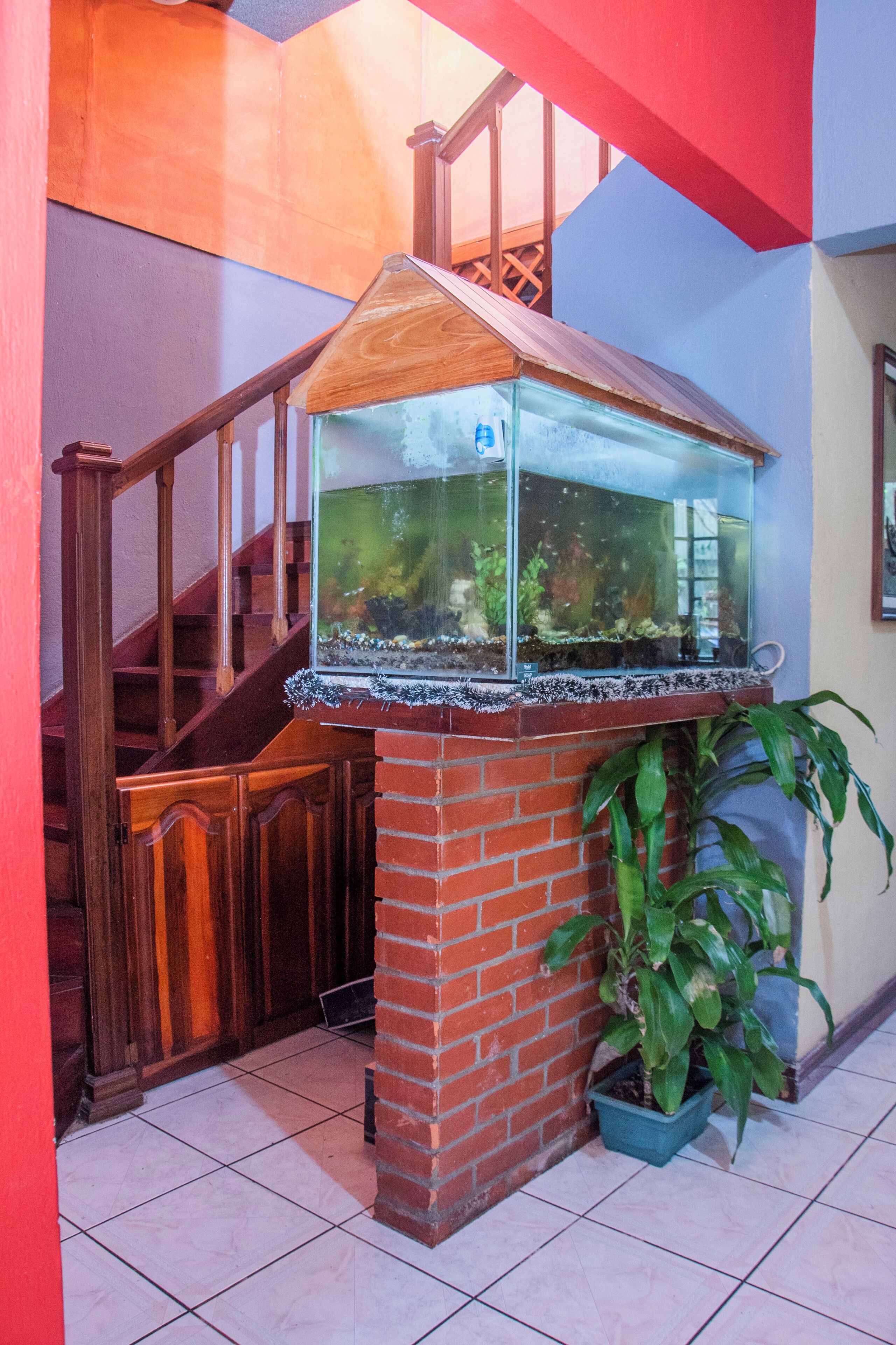 Foto - Gardens House, Airport Juan Santamaría, Alajuela, San José