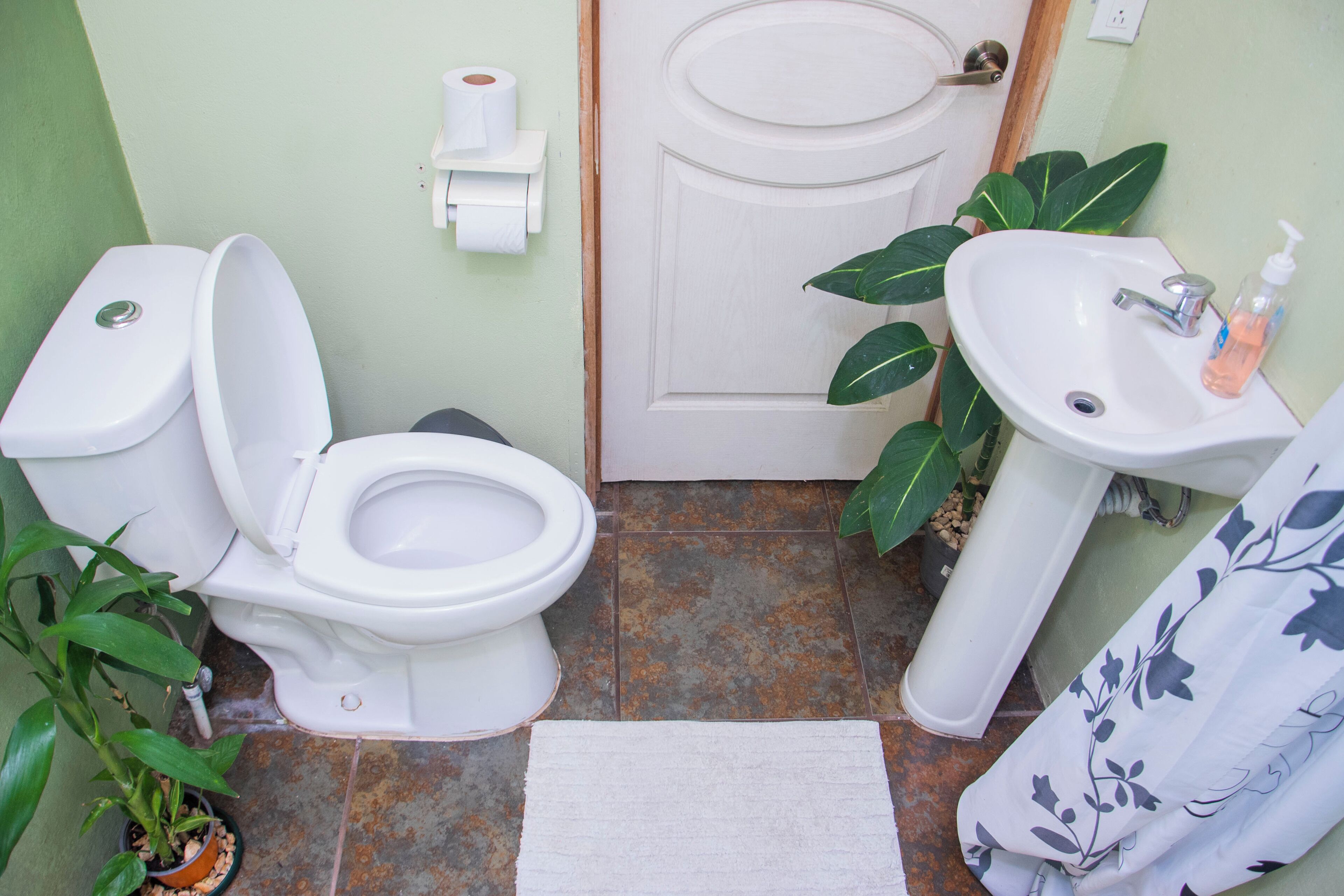 Foto - Gardens House, Airport Juan Santamaría, Alajuela, San José