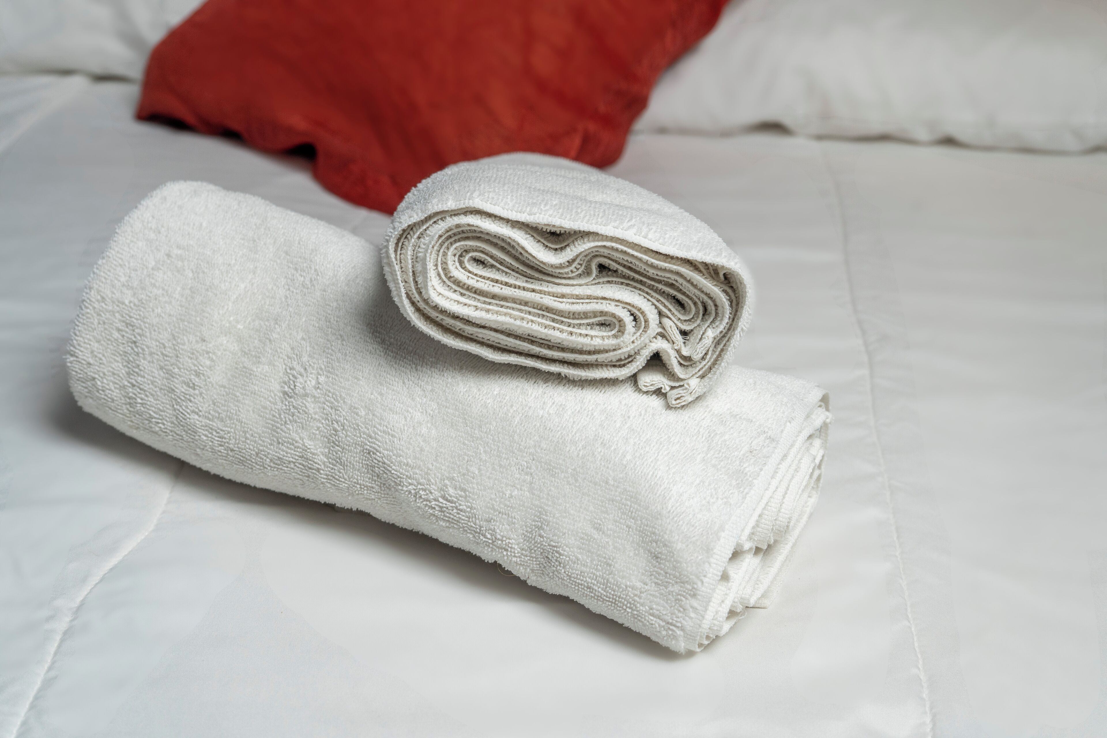 Foto - Gardens House, Airport Juan Santamaría, Alajuela, San José