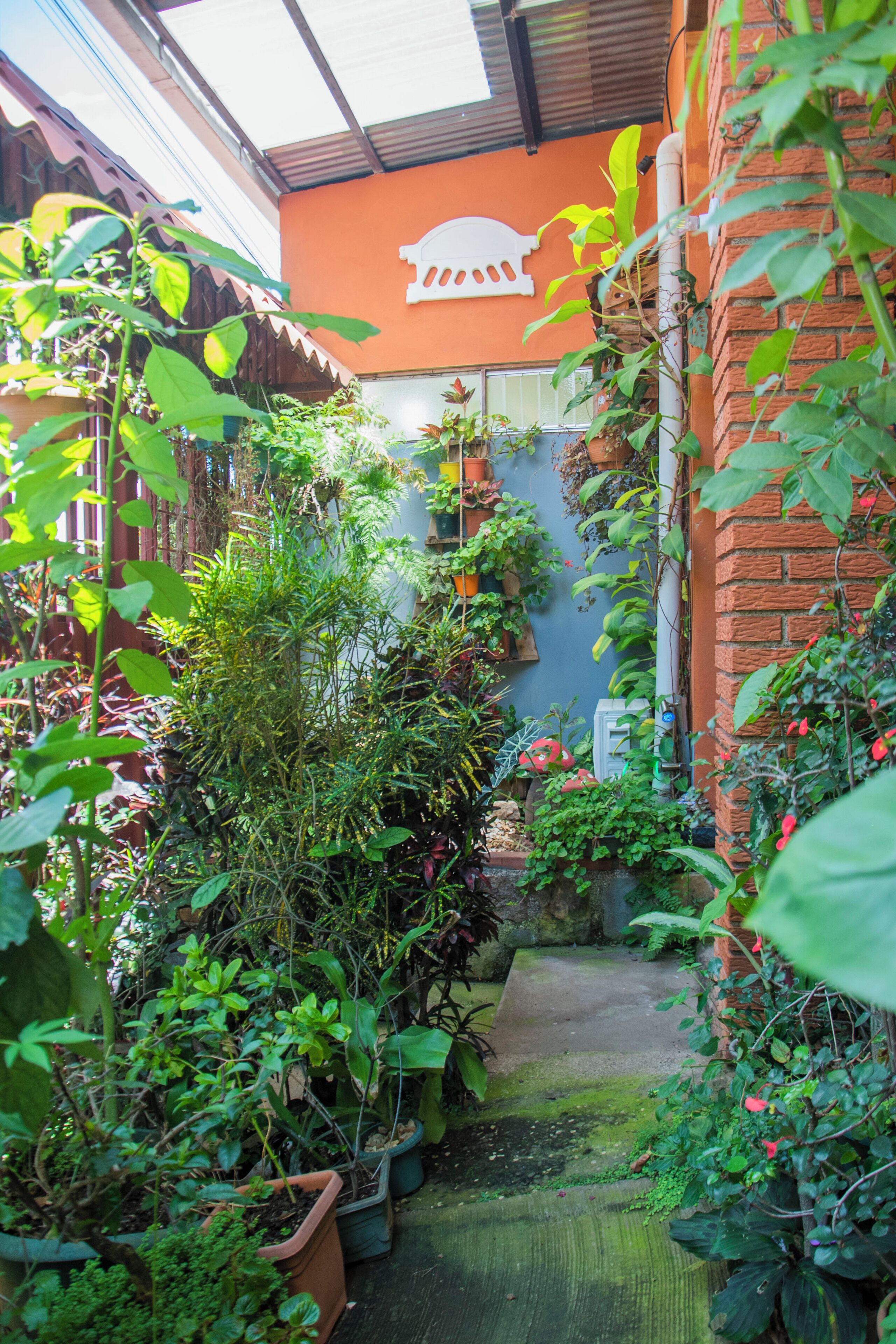 A narrow garden path flanked by potted plants and a brick wall.
