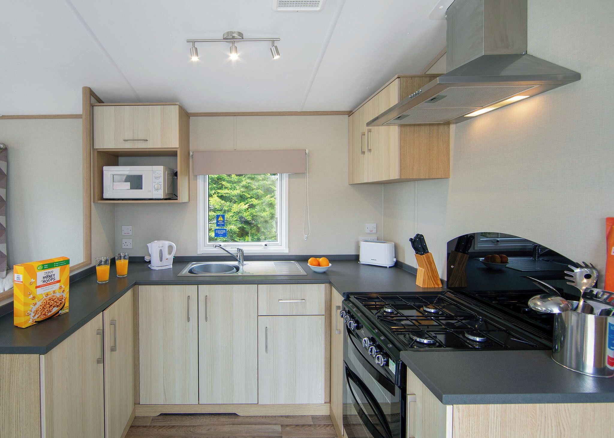 Fridge, oven, stovetop, toaster