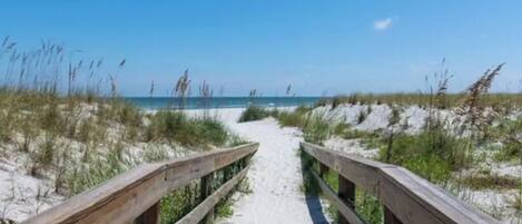 Playa en los alrededores