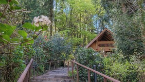 Uma escadaria de madeira leva a uma cabana de toras rodeada por vegetação densa e árvores.