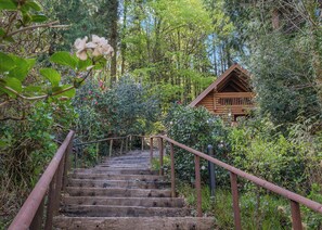 A wooden staircase leading to a log cabin surrounded by dense greenery and trees. - Timber lodge set in an elevated position with views of the lake. (Webbery, Bideford)