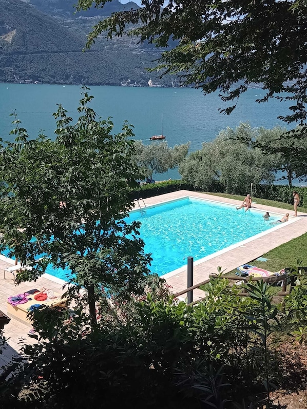 A rectangular swimming pool with a clear blue water, surrounded by a tiled deck and lush greenery.
