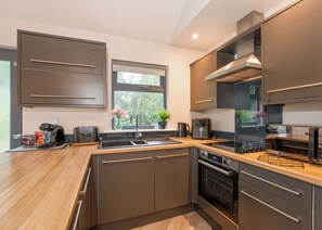 Fridge, oven, stovetop, dishwasher