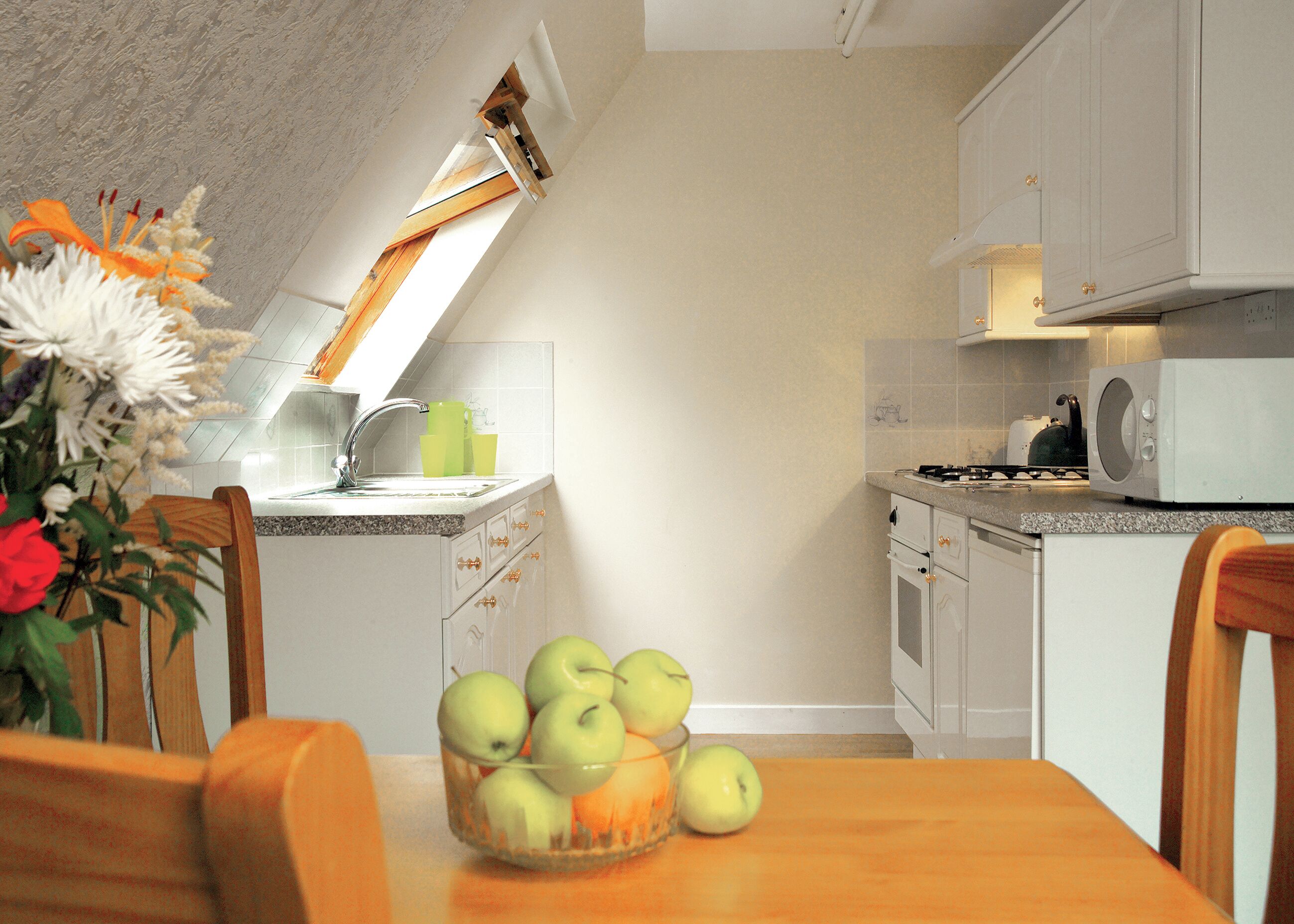 Frigorífico, horno, placa de cocina y tostadora