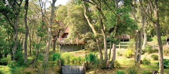 Delny Highland Lodge