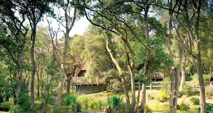 Delny Highland Lodge